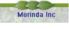 Morinda Inc.