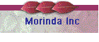 Morinda Inc.